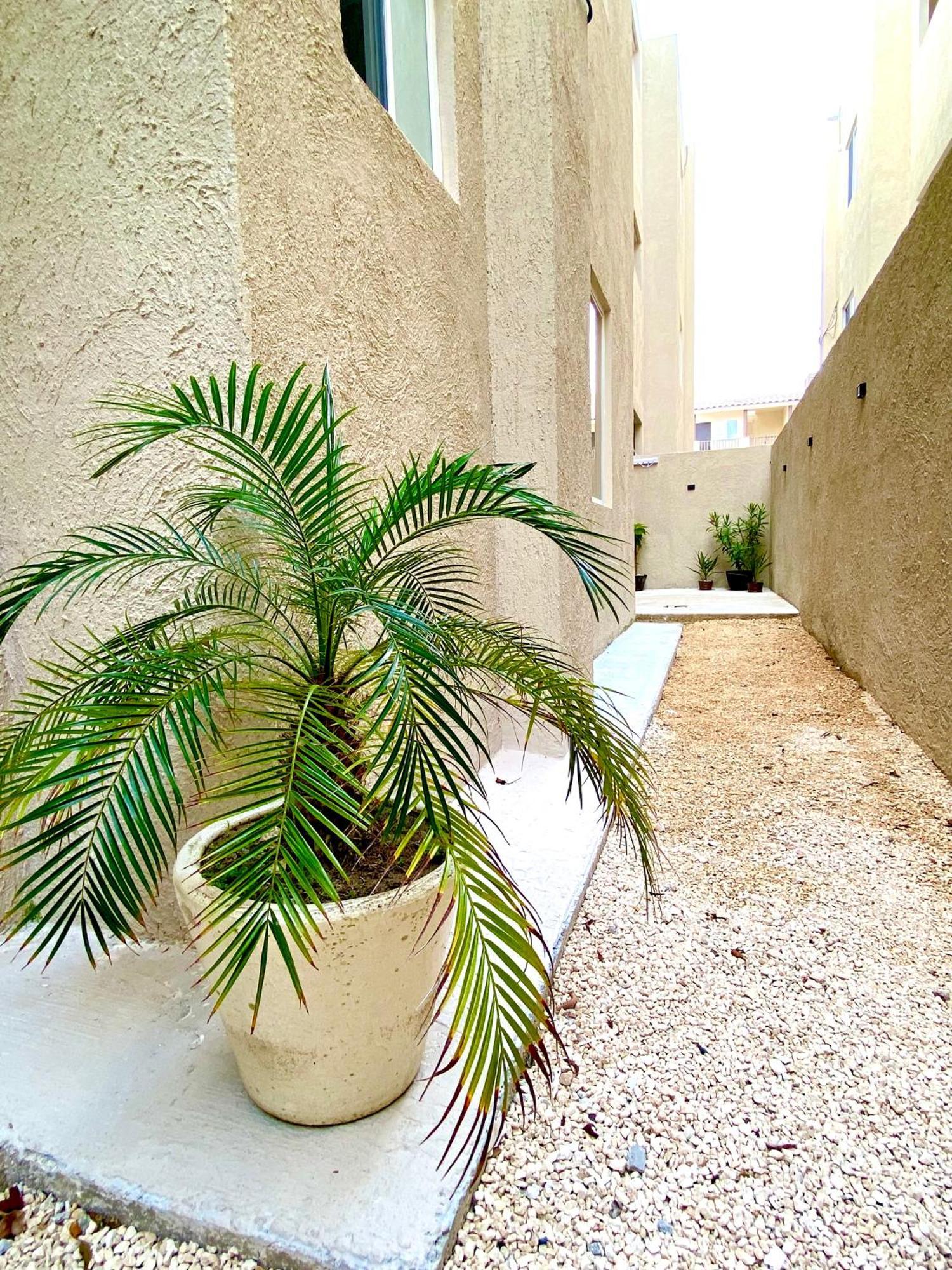 Casa Etna Apartment Cancun Bagian luar foto