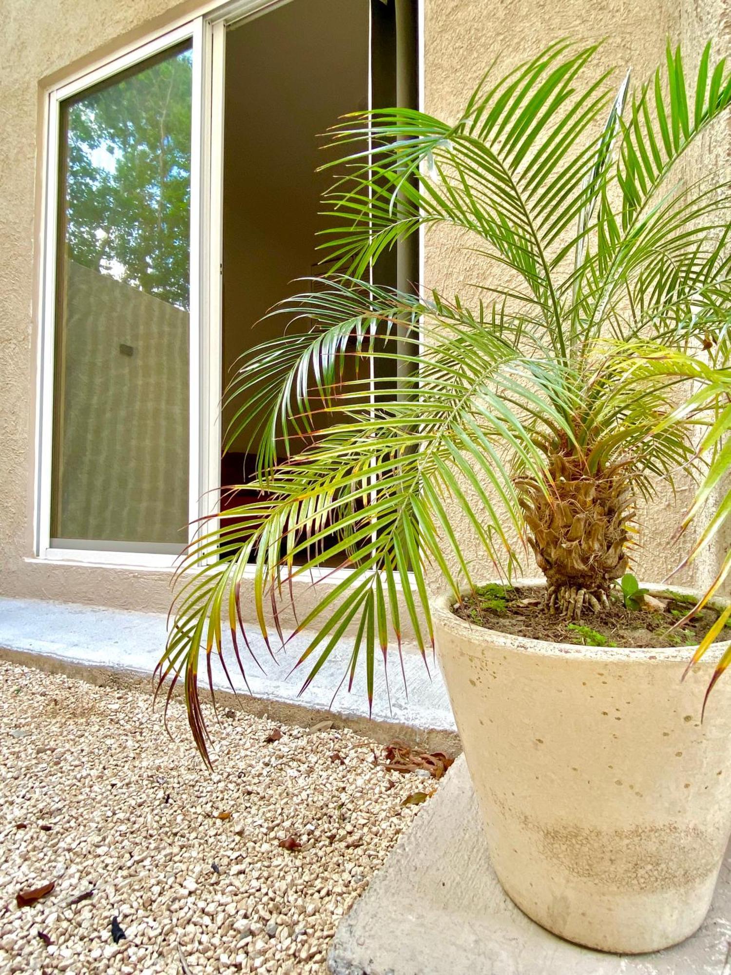 Casa Etna Apartment Cancun Bagian luar foto